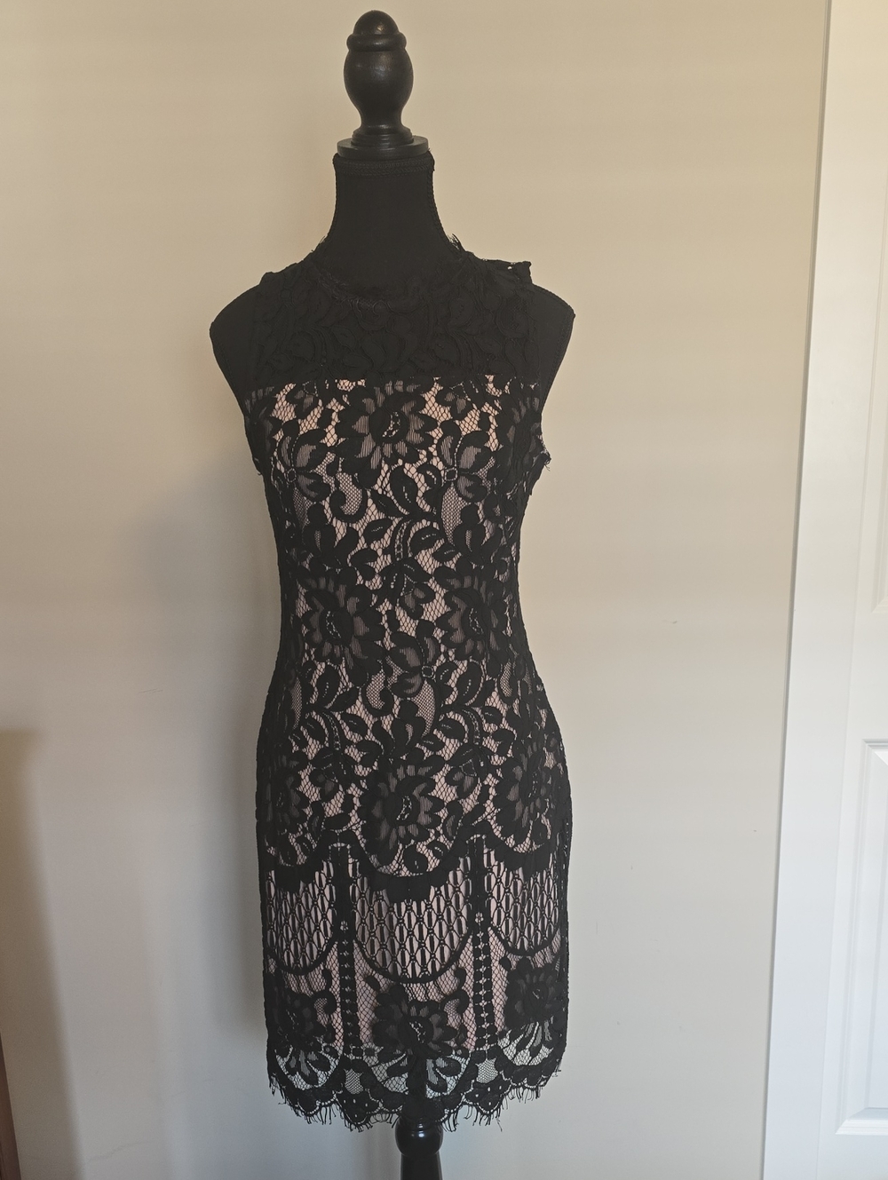 Dex Black Lace Sheath Dress with Nude Lining Women's Dress
